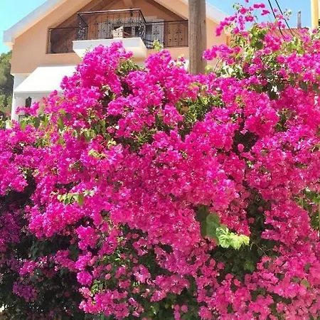 Barbara's One Bedroom *