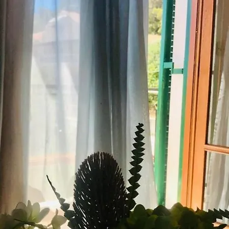 Barbara's One Bedroom アパート