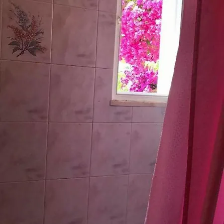 Barbara's One Bedroom アルゴストリオン