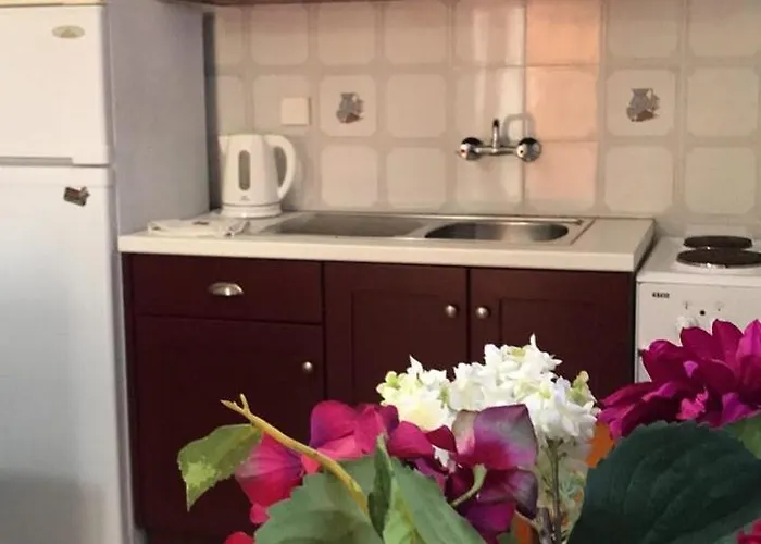 Apartman Barbara's One Bedroom *